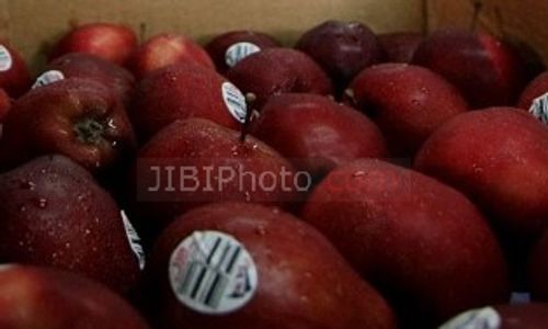 BUAH BERFORMALIN : Wakil Walikota Jogja Segera Perintahkan Dinas Bertindak