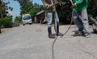  Marak, Pencurian Kabel Listrik di Ngembat Padas