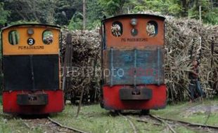 PIPA MADUKISMO MELEDAK : PG Madukismo Sempat Kewalahan Layani Pesanan Gula