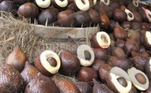 Harga Salak Jatuh Hingga Rp1.600 Per Kg, 400 Petani Minta Solusi