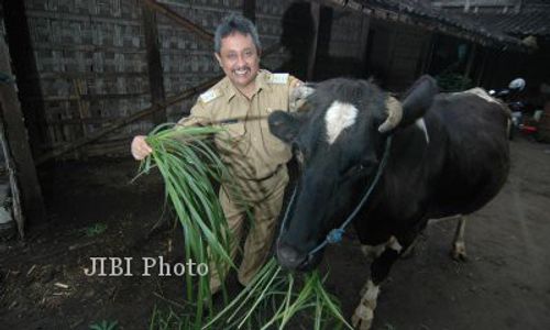 PILKADES DLINGO : Kritik Terus Mengalir, Bupati Boyolali Tanggapi Santai