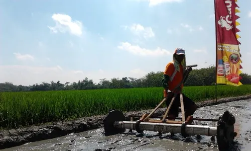 Tabela Solusi Minimnya Buruh Tanam Padi