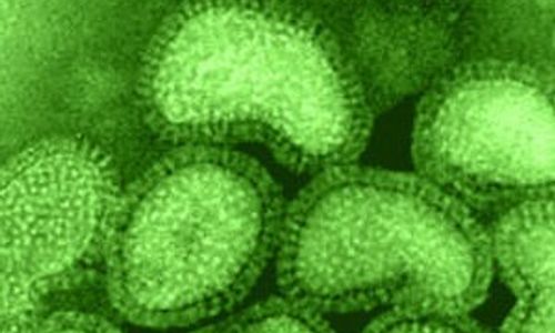 30 Warga Sukoharjo Terserang Virus Viral Infection, Bikin Ngilu Persendian!