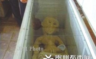 Wow, Pria China Mengaku Simpan Alien di Kulkas