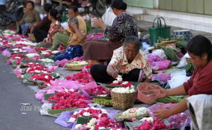 HARGA BUNGA TABUR NAIK