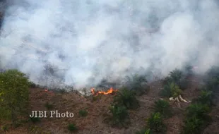 KEBAKARAN LAHAN DI RIAU