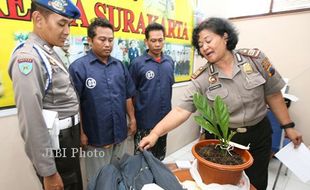 2 Juru Parkir Dibui Gara-Gara Cabuti Jenmanii