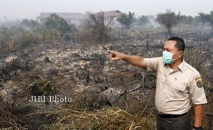 KABUT ASAP : Dianggap Lamban Melangkah, Presiden Disomasi Walhi