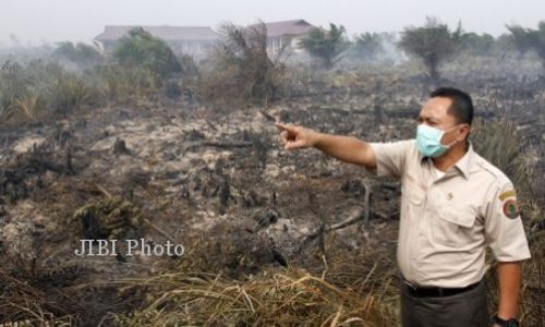 KABUT ASAP : Dianggap Lamban Melangkah, Presiden Disomasi Walhi