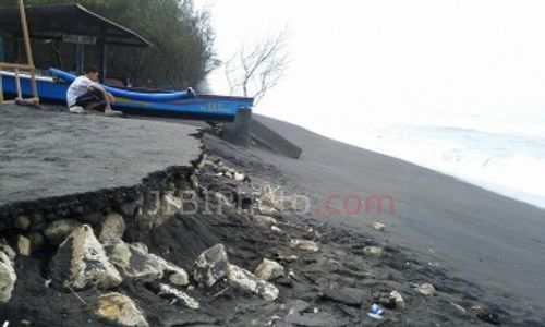 Lokasi Penangkaran Penyu di Pantai Trisik Kulonprogo Terancam Abrasi