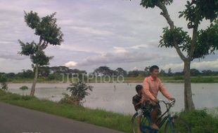 BANJIR KUDUS : Sawah Tergenang Banjir Jadi 932 Ha