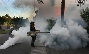 WABAH DBD SOLO : Tak Kunjung Fogging, Warga Joyosuran Ancam Demo Pemkot