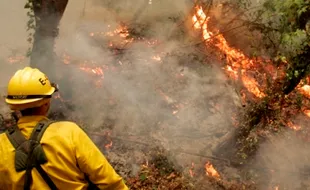 KABUT ASAP : Pembakar Hutan Bakal Dipenjara