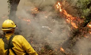 KEBAKARAN HUTAN : Kemenhut Gandeng BIN Usut Pelaku Utama Pembakaran Hutan