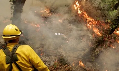 KABUT ASAP : Walhi Catat Ada 117 Perusahaan Bakar Hutan