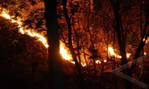 KEBAKARAN HUTAN : Lereng Barat Daya Gunung Slamet Kembali Terbakar