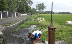  Air Limbah untuk Mengairi Sawah...