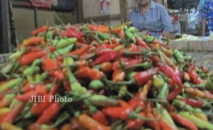 Duh, Cabai Rawit di Klaten Capai Rp75.000/kg