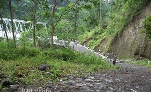 PEMBANGUNAN INFRASTRUKTUR : Sudah Diresmikan, Jembatan Klakah-Windu Mangkrak