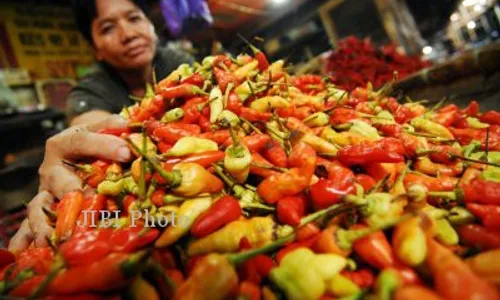 Tak Mau Rugi, Pemilik Warung di Magetan Beralih ke Cabai Kering