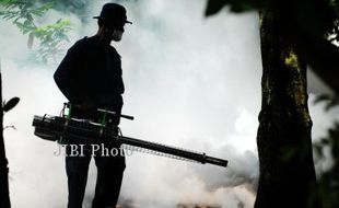   DEMAM BERDARAH : Kasus DB Meningkat, Dana Fogging Tambah Rp43,7 juta