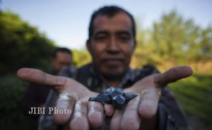 Masyarakat Kulonprogo Dianggap Sadar Pelestarian Satwa