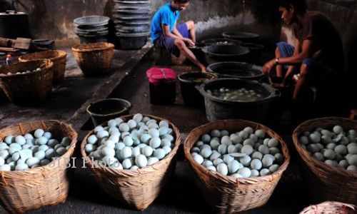 PRODUKSI TELOR ASIN MENINGKAT