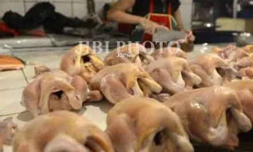 HARGA KEBUTUHAN POKOK : Harga Daging Ayam Turun