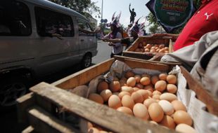 BAGIKAN TELUR REBUS