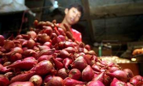 PERTANIAN BANTUL : Petani Bawang Merah Diminta Antisipasi Penurunan Produksi