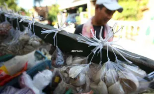 Harga-Harga Naik, Pemkab Angkat Tangan