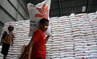 STOK BERAS : Maksimalkan Penyerapan, Bulog Akan Lakukan Perombakan