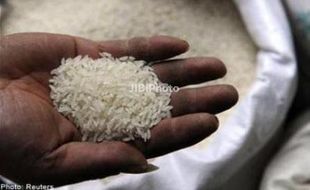 Harga Beras Bertahan Rp7.600 Per Kg