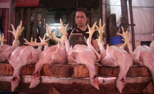 Harga Daging Sapi Melambung,Daging Ayam Tiren Marak