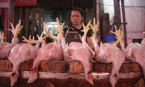 Harga Daging Sapi Melambung,Daging Ayam Tiren Marak