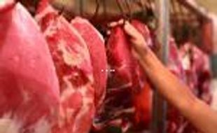 DAGING SAPI : 2019, Pemerintah Targetkan Swasembada Daging Sapi