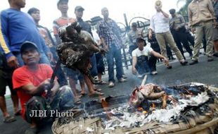 HARGA DAGING AYAM : Naik Gila-Gilaan Hingga 50%, Jelang Puasa Tembus Rp32.000/Kg