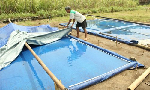 Hujan Turun, Petani Garam Kelimpungan