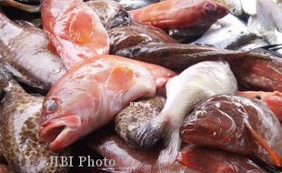 Ikan Berformalin Masih Beredar di Pasar