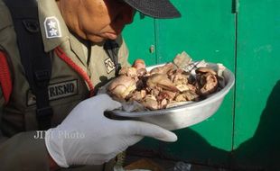 Duh...Warga Bantul Edarkan Jeroan Anjing Mati dan Ayam Tiren ke Pasar-Pasar