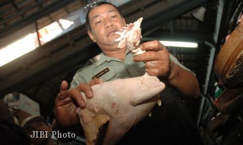 AYAM TIREN SOLO : Pedagang Daging Ayam Merasa Dirugikan