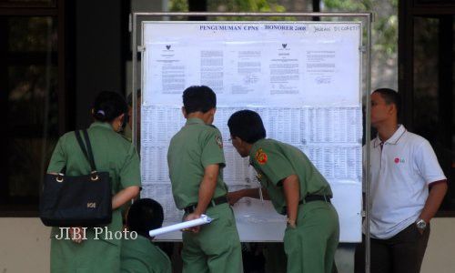 PENGUMUMAN CPNS 2013 : Hasil Seleksi Honorer K2 Daerah Tunggu BKN