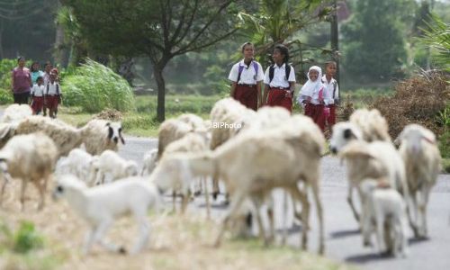 KURIKULUM 2013 : Dianggap Belum Matang, Sekolah Tunda Penerapan