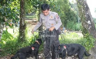 LEBARAN 2013 : Jaga Malioboro, Polda DIY Turunkan Anjing Pelacak 