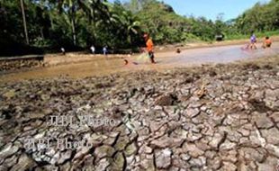 KEKERINGAN CILACAP : Debit Bendung Manganti Menyusut 60%