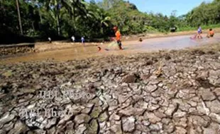 KEKERINGAN DI INDONESIA : El Nino Diprediksi Hingga Desember