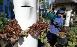 PAMERAN PRODUK : Sukses Digelar, Peserta Pameran Produk Organik Laris Manis