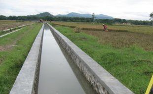 Hore! Ada Suplai Air Waduk Kedung Ombo, Petani di Kudus Siap-siap Tanam Padi