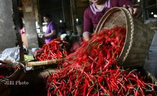 HARGA KEBUTUHAN : Di Kudus, Harga Cabai Keriting Tembus Rp25.000 Per Kilogram