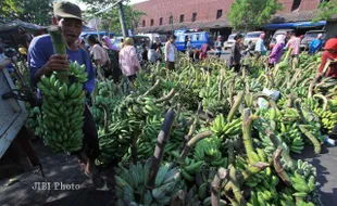 HARGA PISANG TINGGI